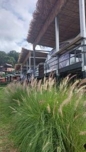 Ploy&Praew โดม 1