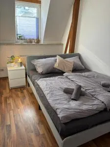 komfortable Ferienwohnung am Stadtwald von Plauen - Pöhl