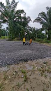 HOMESTAY DATUL BANTING #7, 1bilik 4-6org, Near Kolej Matrikulasi Sgor , HargaB40, Mvslim shj, #NO TOWEL
