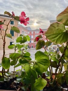 Stylish Studio in Old Town