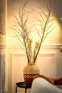 Appartements Rose ecrin de charme avec parking terrasse privee et jardin partage : photos des chambres