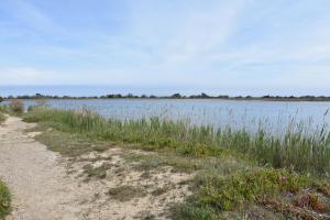 Coquet pavillon dans résidence en bord de lagune - AY090-025
