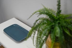 GuestReady - A warm city refuge in Cedofeita