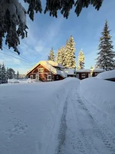 Cabin in Granåsen VM stadium - 欧坎哥