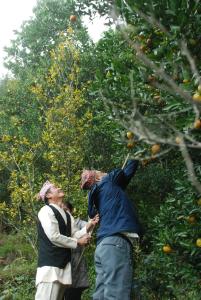 Dhankuta Community Homestay - Sipting