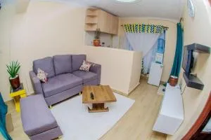 Kirans 1 bedroom beautiful Apartment - Nandi