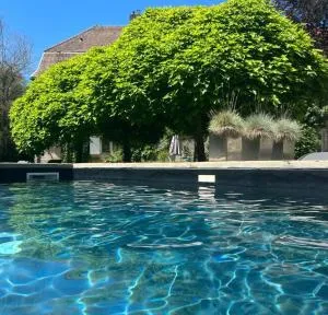 L'Annexe du Moulin Renaudiots - Antully