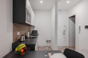 Padova Modern and Central Studio with Parking!