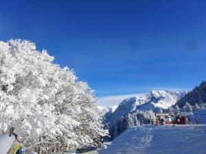 Chalets L-ecrin de bois : photos des chambres