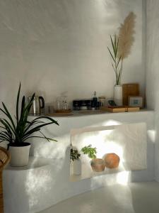 Hot spring tiny home in Limpopo