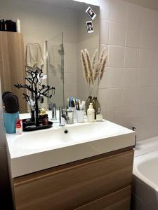 Beautiful accommodation PARIS 16 Quartier Passy