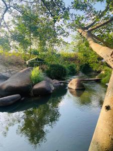 Suối Mơ Dốc Tình Glamping & Retreat