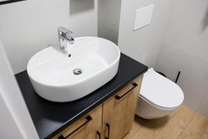 Sekwoja Rent - Malmeda 15