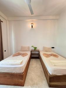 Back yard surf hostel Madiha