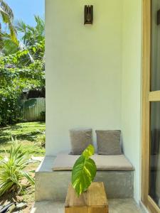 Back yard surf hostel Madiha