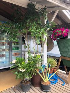 Fisherman Guesthouse