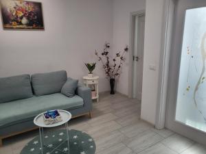 Apartament Alex, Dem Rădulescu