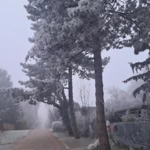 Világos Kert Balatonvilágos Chill House