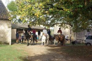 Maisons de vacances Maison spacieuse pres du centre equestre : photos des chambres