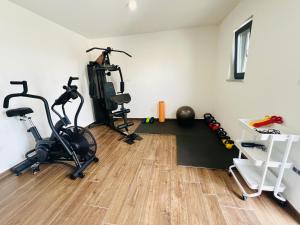 Luxury Villa Callista near Labin with kids playground, fitness and heated pool