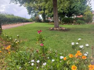 Merwenstein - Farm House, Cottages, Studio-Units