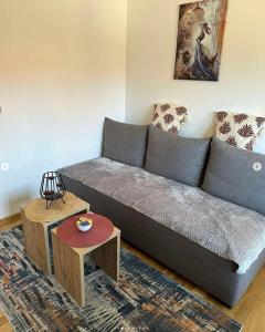 Apartman Zlatibor Cica