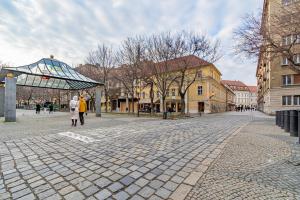 Unique Historic Palace Apartment
