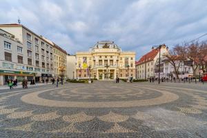 Unique Historic Palace Apartment