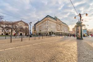 Unique Historic Palace Apartment