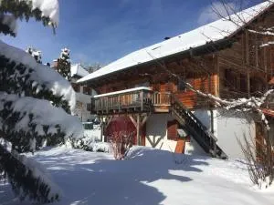 Blackforest Life - Dachsberg im Schwarzwald