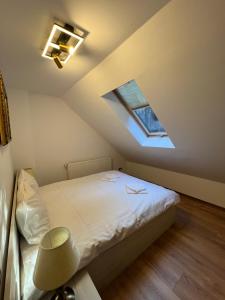 Impala Sinaia - Oribi