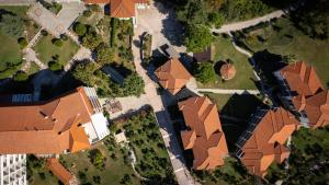 Canvas by Mitsis Alexander the Great