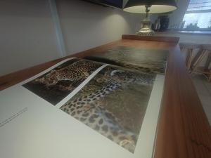 Coastal Life Jamaican Palms Marina Martinique