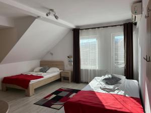 Family Studio room in Pensiunea Melinda