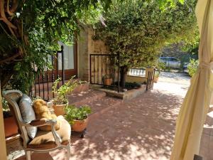 Lodges Le Mas Joyeux - Le Lys - Gite En Cevennes : photos des chambres