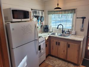 The Higgins Lake Hideaway - Super Cute!