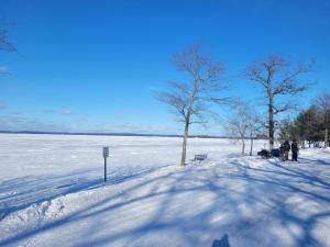 The Higgins Lake Hideaway - Super Cute!