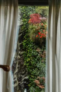 Inhala Hotel Garden