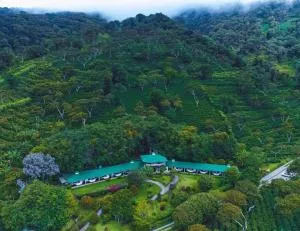 Hotel Finca Lerida Coffee Plantation and Boutique Hotel - Chumbago
