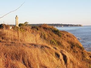 Appartements Residence Dagaud - STUDIO - 3mn DE LA PLAGE, DE ROYAN ET DU CENTRE : Appartement 1 Chambre