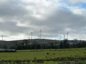 Molly cottage - 百利科内尔