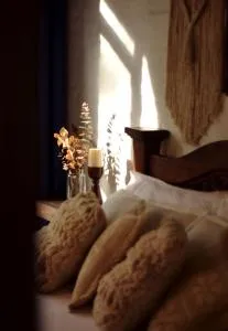 San Julio Campestre - 布埃纳文图拉