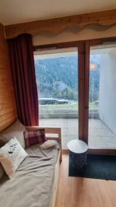 Hameau 1 002 - SPA & PISCINE appartement 6 pers