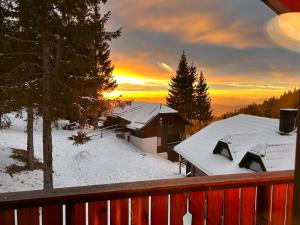 Apartma Lilija Golte 