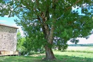 Maisons de vacances La Petite Barriere : photos des chambres