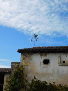 Maisons de vacances La Petite Barriere : photos des chambres