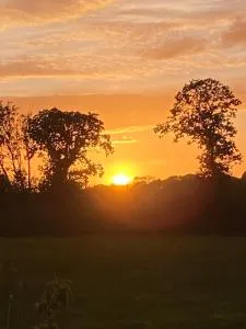 The Horseshoe Cottage - Selstead