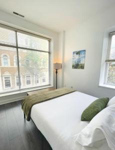 Yale Modern Downtown Chateau