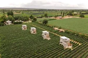 Agrelo Vines Lodge - Agrelo