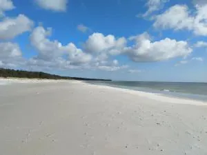 Gemütliche Wohnung in Strandnähe - Strandby Gårde